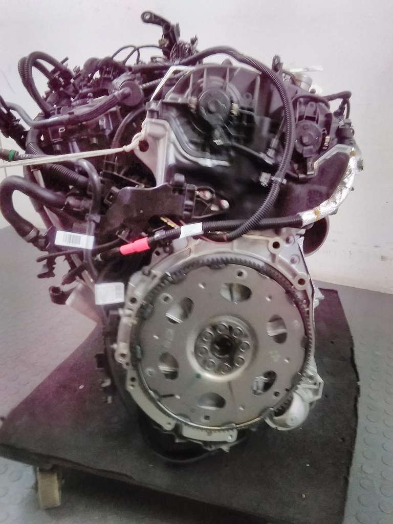 16510662178762439149475579135870.jpg