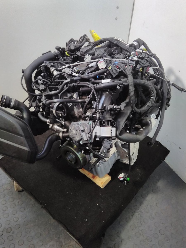 Motor mit Anbauteilen Benzin (Kopie)